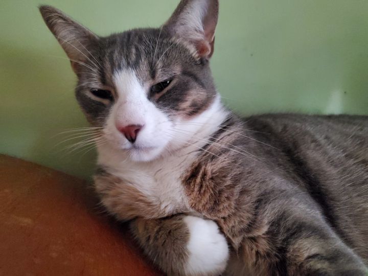 Toby 2