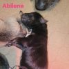 Abilene