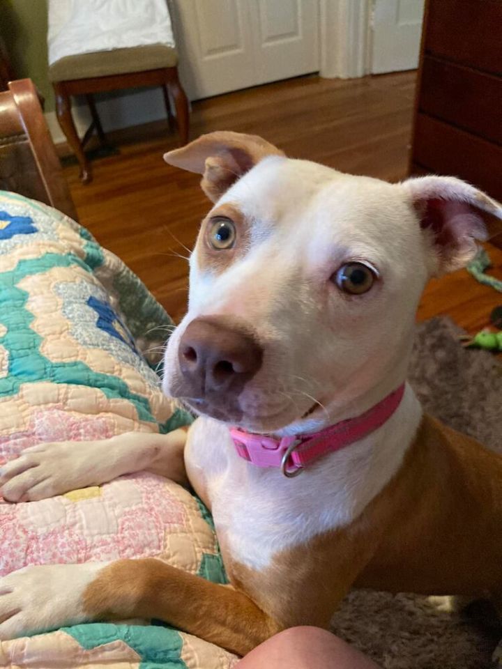 Pritsie (In Foster Home) 2