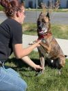 Roscoe