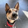 Rex -Seeking outdoor adventure!