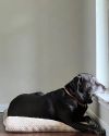 Winnie
