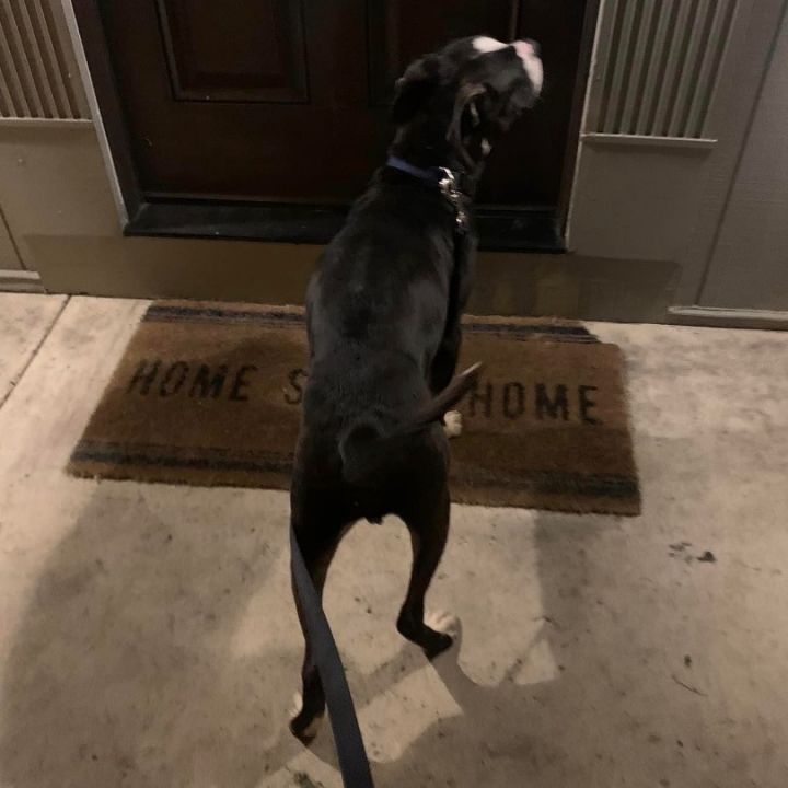 Chance (aka “Smalls”) 3