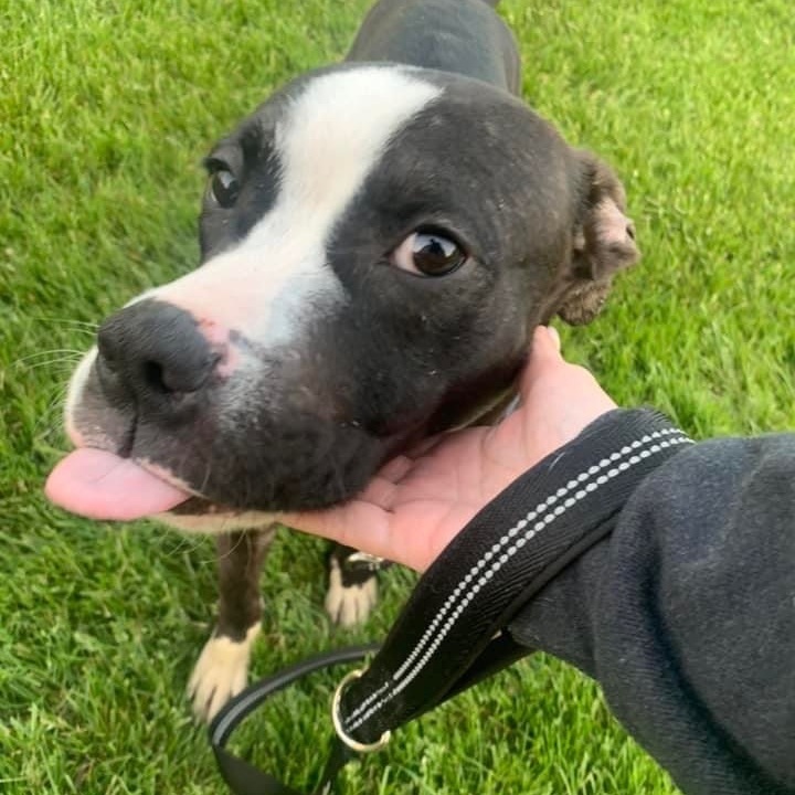 Chance (aka “Smalls”) 4