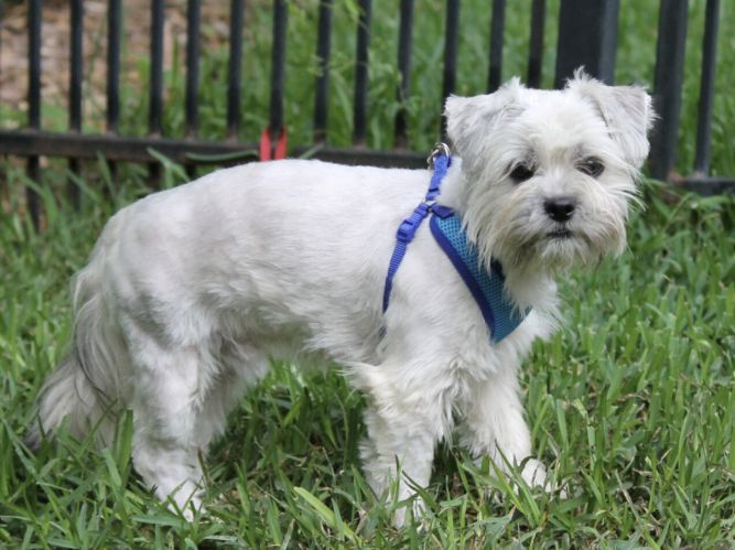 Jimmy Kibble (Spring, TX)