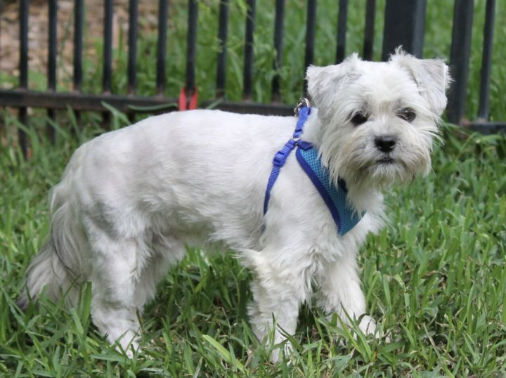 Jimmy Kibble (Spring, TX) 1