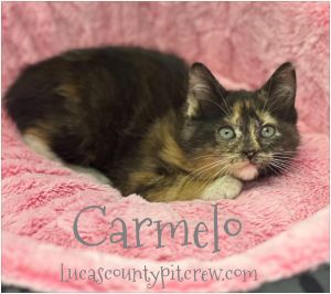 Carmelo