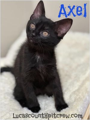 Axel