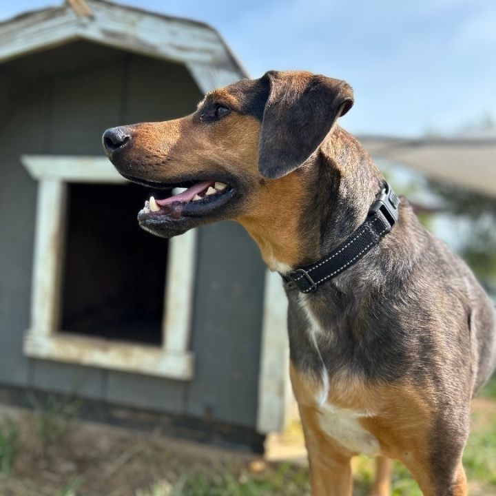 Reese 3