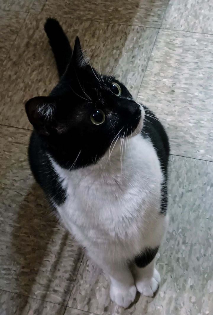 Carter 2