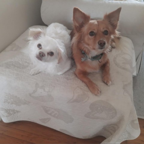 Quincy 3