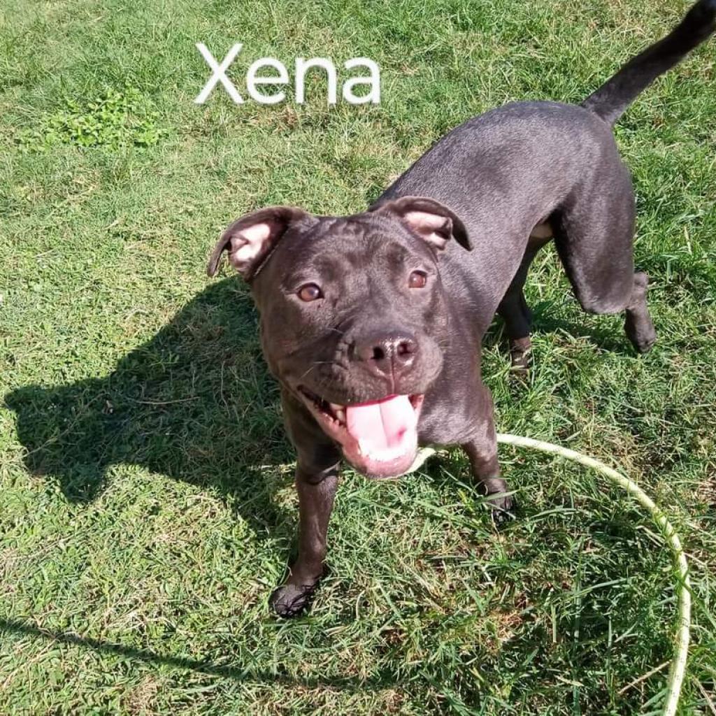 Xena