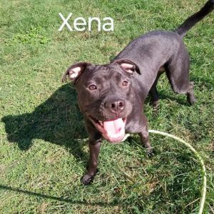 Xena