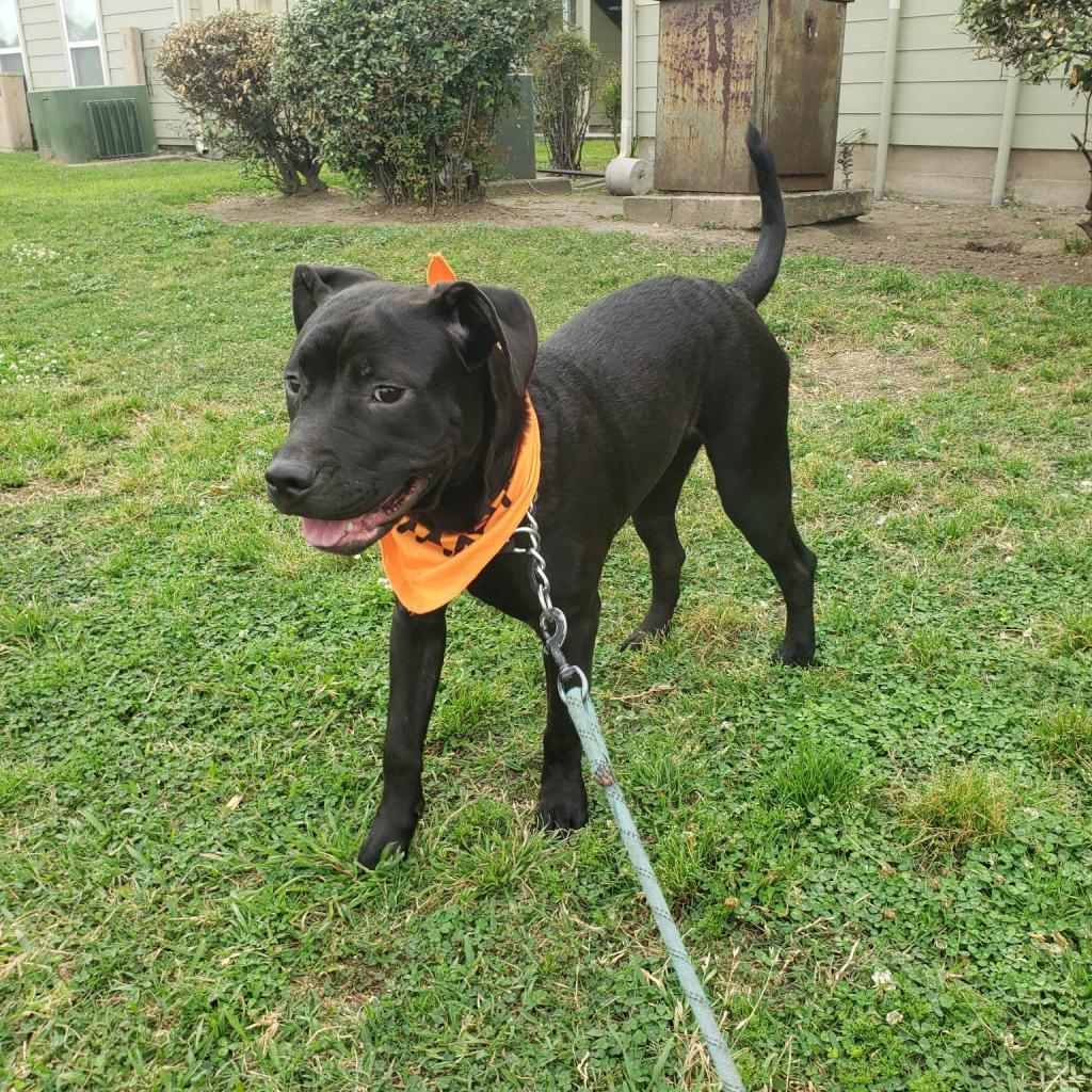 Xena