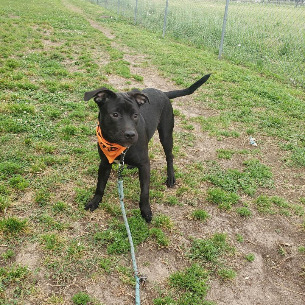 Xena