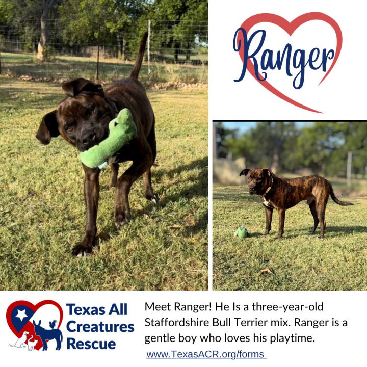 Ranger 1