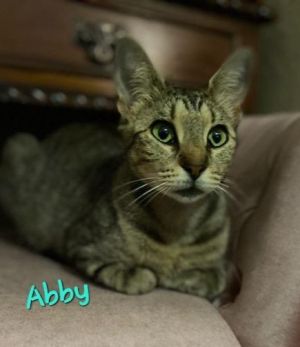 Abby