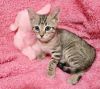 Tabatha