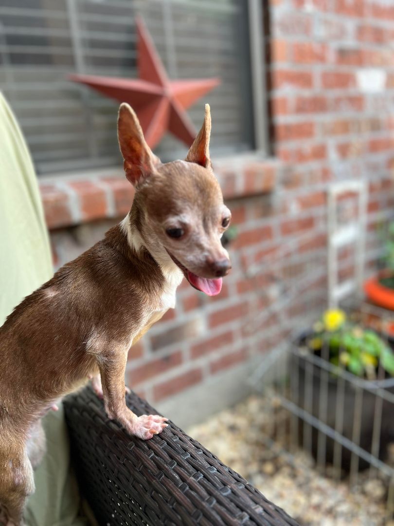 Eunice is ADOPTED!