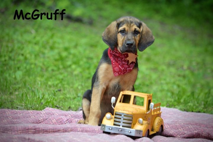 McGruff 1
