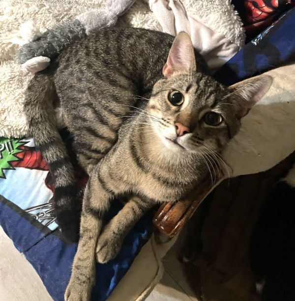 Aiko