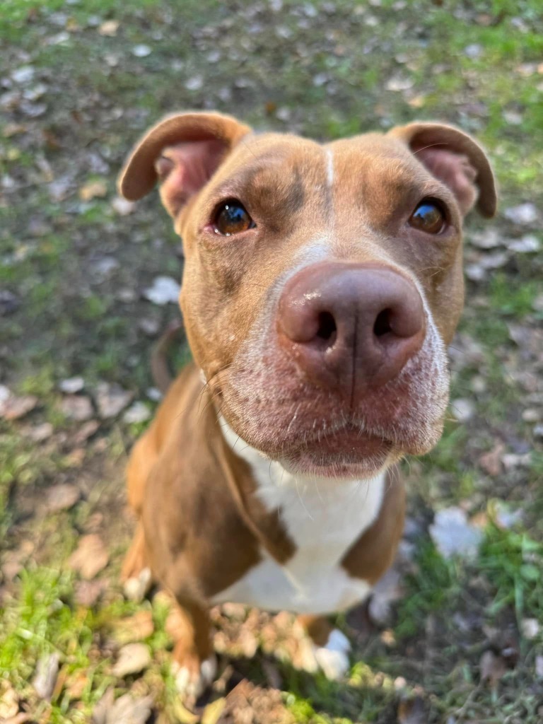 Matilda
