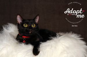 Gilda