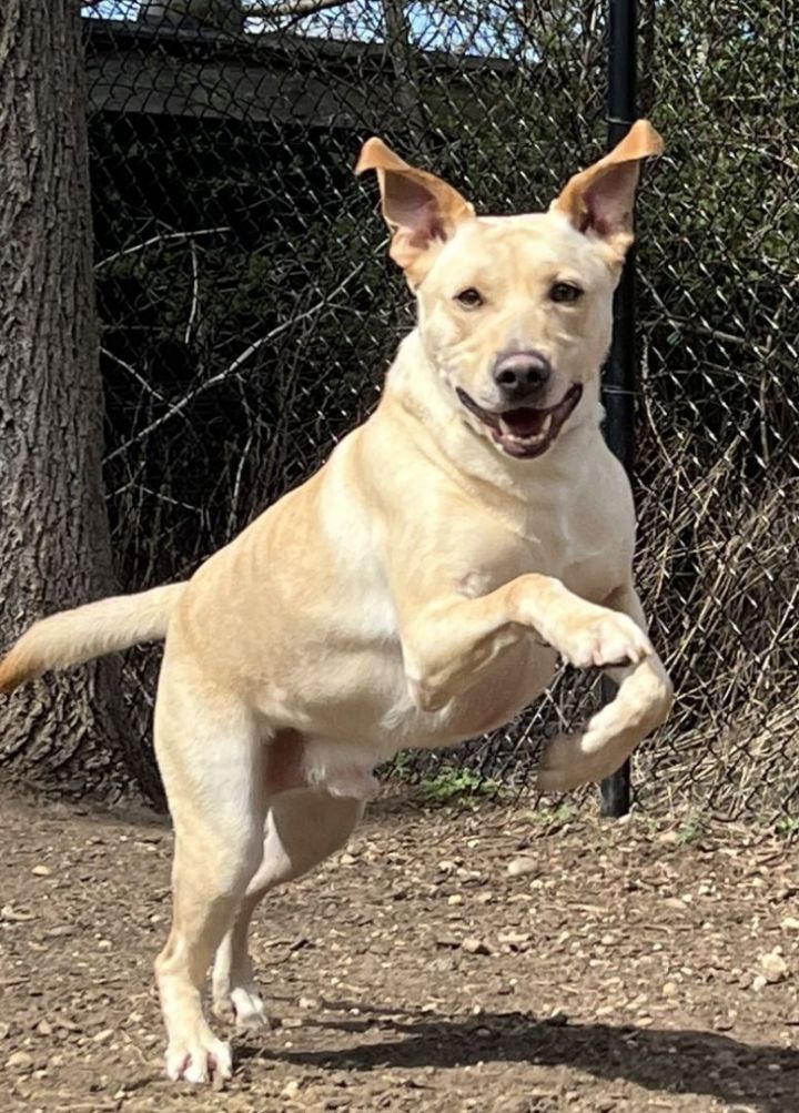 Tucker 1