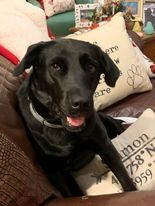 Gracie