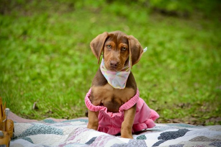 Ruby Sue 1