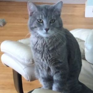 Leo