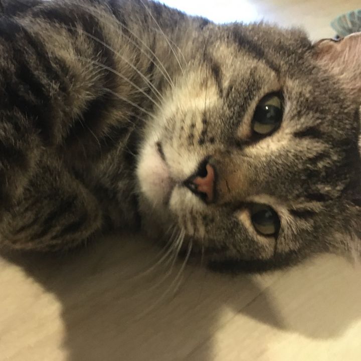 Cooper 3