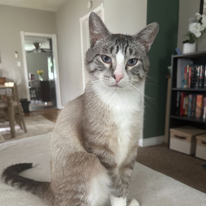 Frankie 1