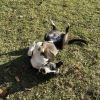 Clyde photo 1