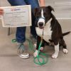 Clyde photo 3