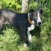 Clyde photo 4