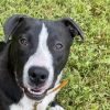 Clyde photo 5