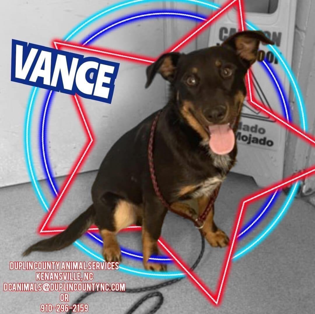 Vance
