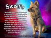 Sweetie photo 1