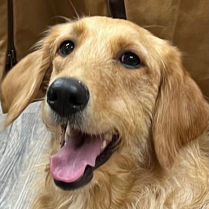 Marley 1