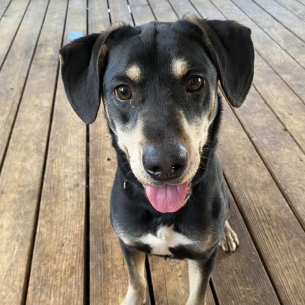 Tex