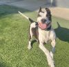 Lucy photo 1