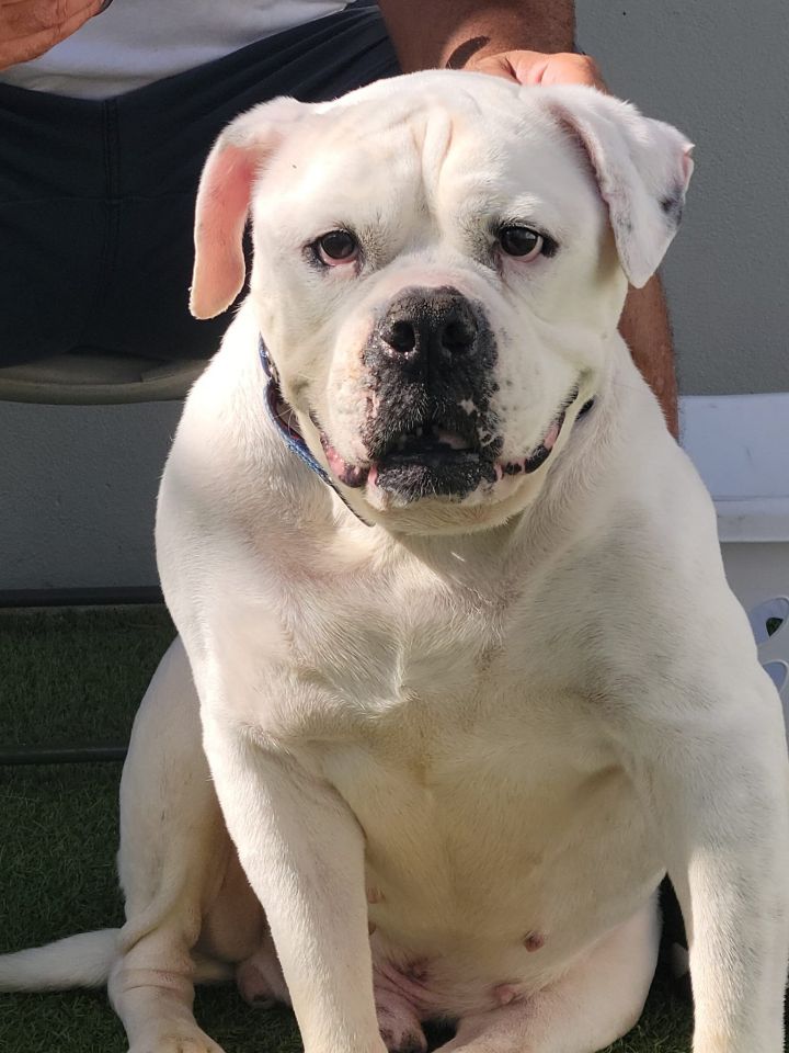 Duke 3