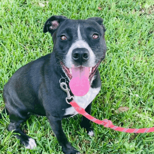 Zoe