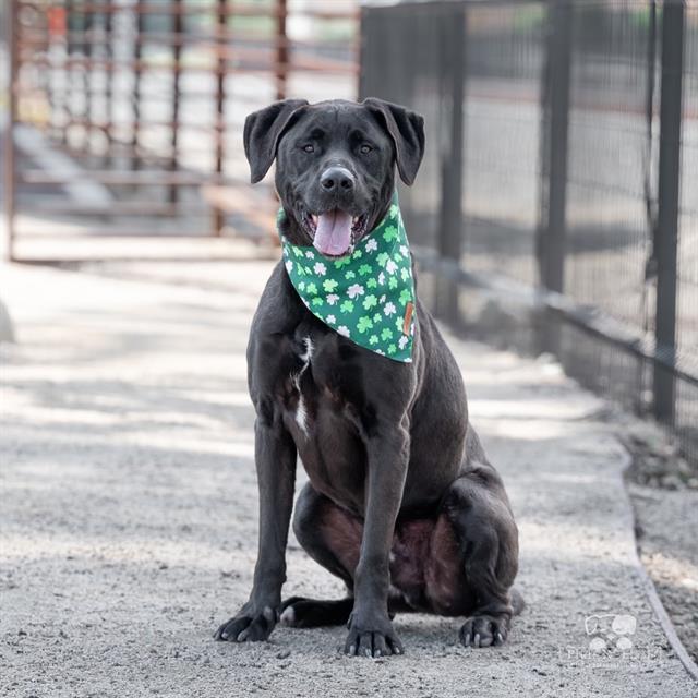 BRUCE- IN TRAINING