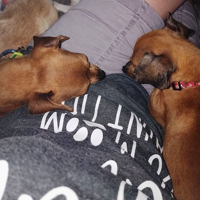 Cash & Peanut 3