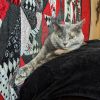Binx