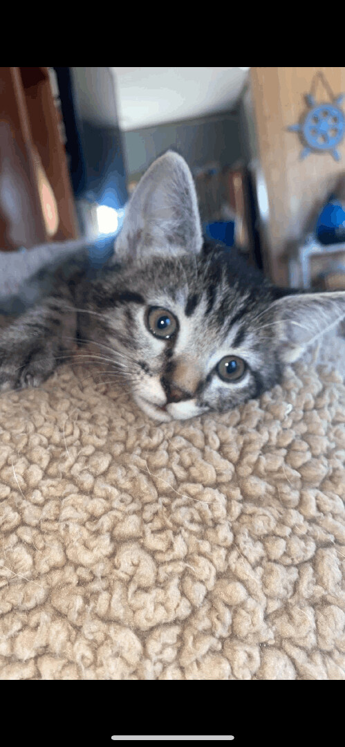 Eugene