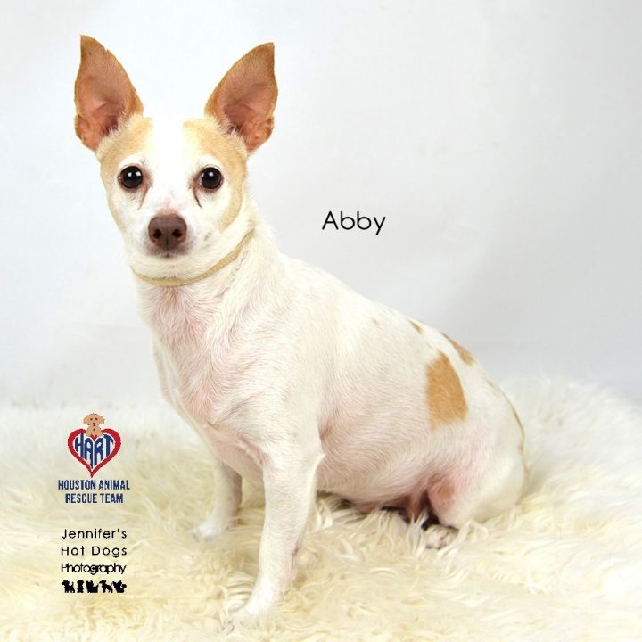Abby 2