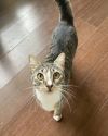 Karma photo 2